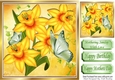 Pretty yellow daffodils with green butterflies 8x8