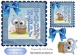 Cute little owl in a cardboard box with bow 7x7