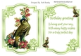 Pretty bird with flowers and green jewel roses card front and insert A5