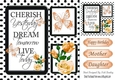 pretty peach roses and black polka dot photo frame 8x8 card front