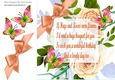 peach roses for you, with butterflies and a corner bow card front 8x8