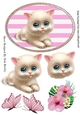 Cute white kitten with flowers and butterflies in pink striped frame