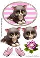 Cute black kitten with rose and butterflies in pink striped frame