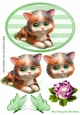 Cute tortoiseshell kitten with rose and butterflies in green striped frame