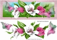 Pretty pink and white spring flowers with butterflies DL