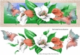Pretty peach and white spring flowers with butterflies DL