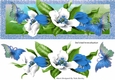 Pretty blue and white spring flowers with butterflies DL