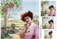 Pretty vintage lady in the meadows with pink roses 8x8