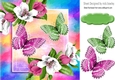 Pretty pink/white flowers with butterflies and rainbow 8x8 frame