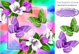 Pretty purple/white flowers with butterflies and rainbow 8x8 frame