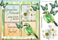 White daisies, and little green bird with sympathy verse card front 8x8