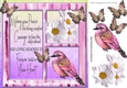 White daisies, and little pink bird with sympathy verse card front 8x8