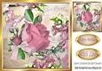 Pretty blush rose with script, dragonfly, butterfly & bow 8x8