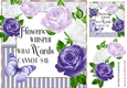 Pretty purple roses in striped frame with script 8x8