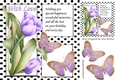 Pretty painted tulips and black polkadot window ,purple butterflies 8x8