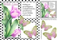 Pretty painted tulips and black polkadot window ,pink butterflies 8x8