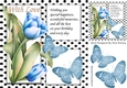 Pretty painted tulips and black polkadot window ,blue butterflies 8x8