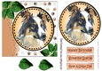 Lovely water colour border collie with leaves 7x7