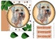 Lovely water colour westie with leaves 7x7