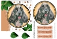 Lovely water colour black spaniel with leaves 7x7