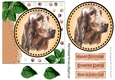 Lovely water colour red setter dog with leaves 7x7