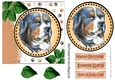 Lovely water colour Bernese Dog with leaves 7x7