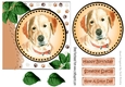 Lovely water colour labrador with leaves 7x7