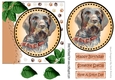Lovely water colour hound dog with leaves 7x7