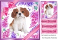 Gorgeous little puppy (four) with bows and flowers 8x8
