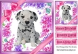 Gorgeous little puppy (five) with bows  and flowers 8x8