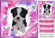 Gorgeous little puppy (six) with bows and flowers 8x8