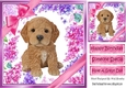 Gorgeous little puppy (eight) with bows and flowers 8x8