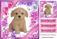 Gorgeous little Labradoodle puppy with bows and flowers 8x8