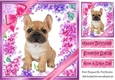 Gorgeous little french bulldog puppy with bows and flowers 8x8