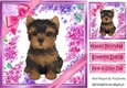 Gorgeous little yorki puppy with bows and flowers 8x8