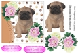 Cute pug puppy, with pink/white peonies 7x7