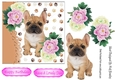 Cute french bulldog puppy with pink/white peonies 7x7