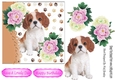 cute cavalier puppy with pink/white peonies 7x7