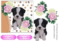cute border collie puppy with pink/white peonies 7x7