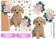 cute labradoodle puppy with pink/white peonies 7x7