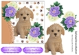 cute labradoodle puppy with purple/white peonies 7x7