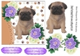 cute pug puppy with purple/white peonies 7x7