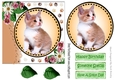 Sweet little kitten with daisies card front 7x7 with topper