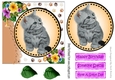 Sweet little grey kitten with pansies card front 7x7 with topper