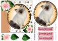 Sweet little siamese kitten with pink roses card front 7x7 with topper