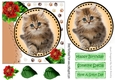 Sweet little fluffy kitten with red peonies card front 7x7 with topper