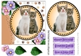Sweet pair of fluffy kittens with purple/pinkflowers card front 7x7 with topper