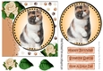 Sweet little tortoiseshell kitten with cream roses card front 7x7 with topper