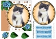 Sweet little black and white kitten with blue roses card front 7x7 with topper