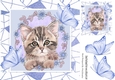 Sweet Kitten in frame of Abstract , flowers and blue butterflies 8x8